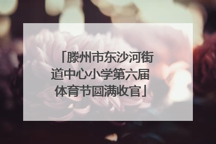 滕州市东沙河街道中心小学第六届体育节圆满收官