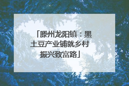 滕州龙阳镇：黑土豆产业铺就乡村振兴致富路