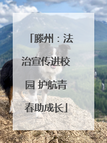 滕州：法治宣传进校园 护航青春助成长