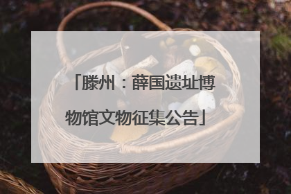 滕州：薛国遗址博物馆文物征集公告
