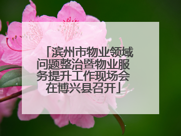 滨州市物业领域问题整治暨物业服务提升工作现场会在博兴县召开