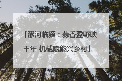 漯河临颍：蒜香盈野映丰年 机械赋能兴乡村