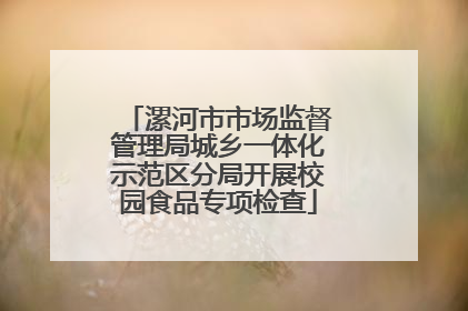 漯河市市场监督管理局城乡一体化示范区分局开展校园食品专项检查
