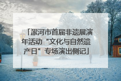 漯河市首届非遗展演年活动“文化与自然遗产日”专场演出侧记