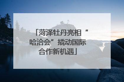 菏泽牡丹亮相“哈洽会”撬动国际合作新机遇