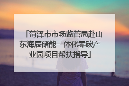 菏泽市市场监管局赴山东海辰储能一体化零碳产业园项目帮扶指导