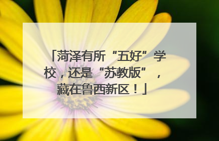 菏泽有所“五好”学校，还是“苏教版”，藏在鲁西新区！