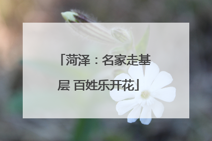 菏泽：名家走基层 百姓乐开花