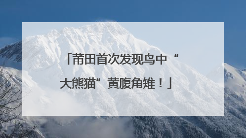 莆田首次发现鸟中“大熊猫”黄腹角雉！