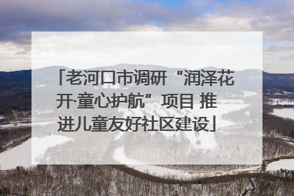老河口市调研“润泽花开·童心护航”项目 推进儿童友好社区建设