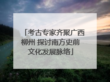 考古专家齐聚广西柳州 探讨南方史前文化发展脉络