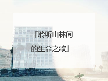 聆听山林间的生命之歌