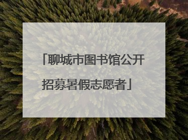 聊城市图书馆公开招募暑假志愿者
