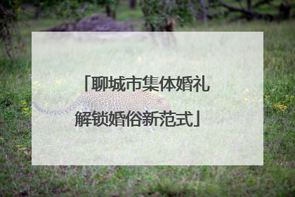 聊城市集体婚礼解锁婚俗新范式