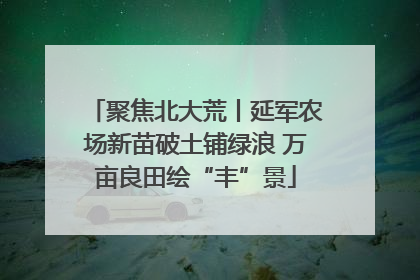 聚焦北大荒丨延军农场新苗破土铺绿浪 万亩良田绘“丰”景