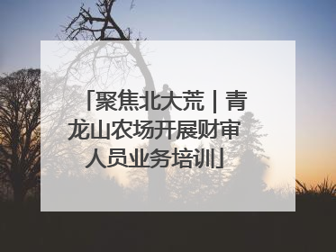 聚焦北大荒｜青龙山农场开展财审人员业务培训