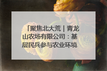 聚焦北大荒｜青龙山农场有限公司：基层民兵参与农业环境综合治理显效