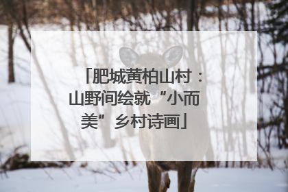 肥城黄柏山村：山野间绘就“小而美”乡村诗画