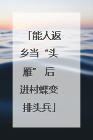 能人返乡当“头雁” 后进村蝶变排头兵