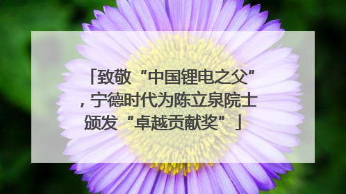 致敬“中国锂电之父”，宁德时代为陈立泉院士颁发“卓越贡献奖”