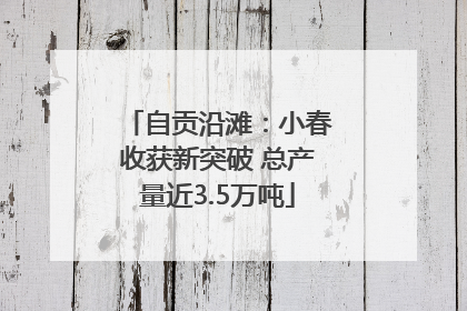 自贡沿滩：小春收获新突破 总产量近3.5万吨
