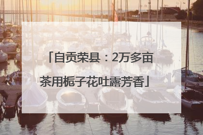 自贡荣县：2万多亩茶用栀子花吐露芳香