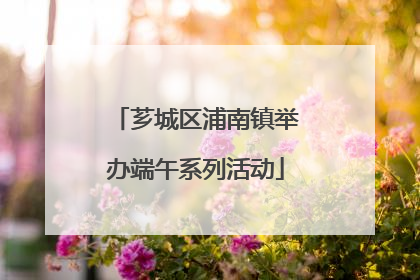 芗城区浦南镇举办端午系列活动