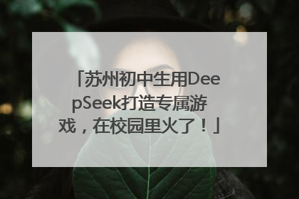 苏州初中生用DeepSeek打造专属游戏，在校园里火了！