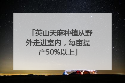 英山天麻种植从野外走进室内，每亩提产50%以上