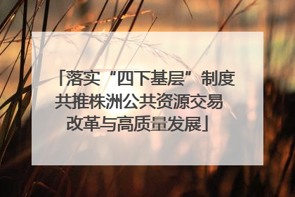落实“四下基层”制度 共推株洲公共资源交易改革与高质量发展