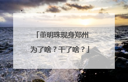 董明珠现身郑州 为了啥？干了啥？
