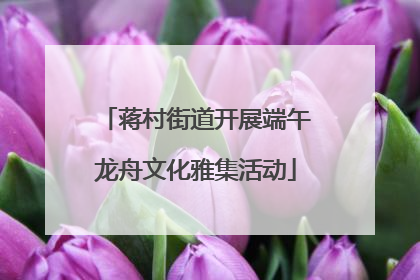 蒋村街道开展端午龙舟文化雅集活动