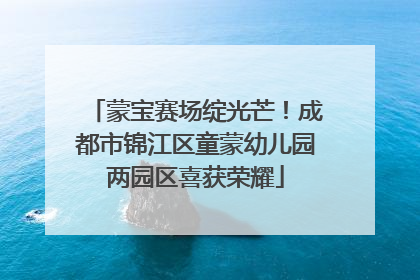 蒙宝赛场绽光芒！成都市锦江区童蒙幼儿园两园区喜获荣耀