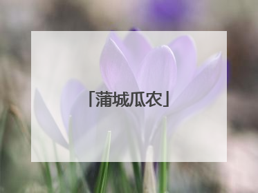 蒲城瓜农
