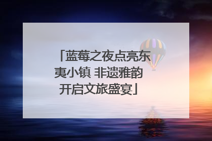 蓝莓之夜点亮东夷小镇 非遗雅韵开启文旅盛宴