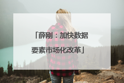 薛刚：加快数据要素市场化改革