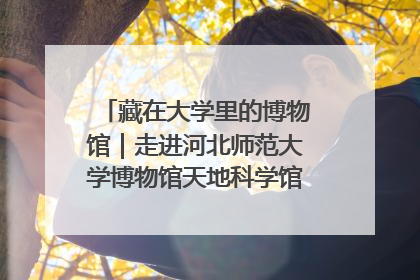 藏在大学里的博物馆｜走进河北师范大学博物馆天地科学馆：在校园里赴一场“宇宙之约”