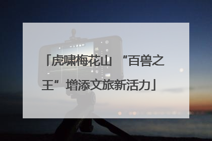 虎啸梅花山 “百兽之王”增添文旅新活力