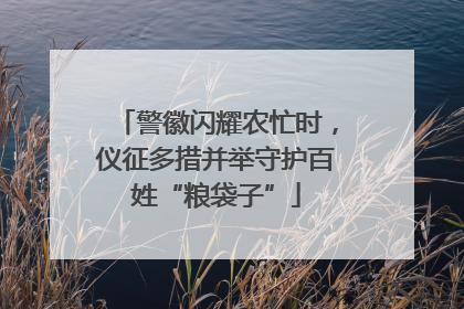警徽闪耀农忙时，仪征多措并举守护百姓“粮袋子”