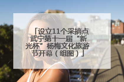 设立11个采摘点 武宁第十一届“新光杯”杨梅文化旅游节开幕（组图）