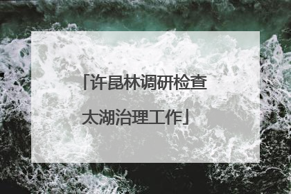 许昆林调研检查太湖治理工作