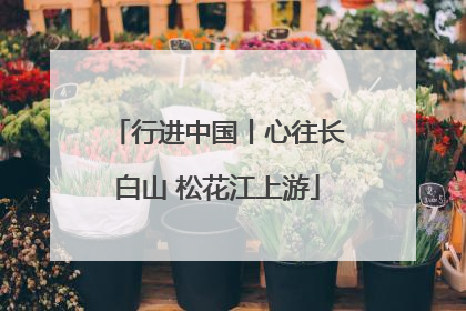 行进中国丨心往长白山 松花江上游