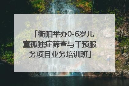 衡阳举办0-6岁儿童孤独症筛查与干预服务项目业务培训班