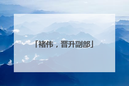褚伟，晋升副部