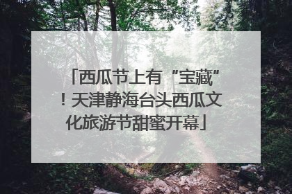 西瓜节上有“宝藏”！天津静海台头西瓜文化旅游节甜蜜开幕