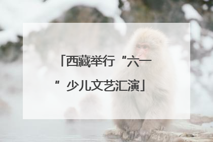 西藏举行“六一”少儿文艺汇演