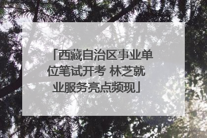 西藏自治区事业单位笔试开考 林芝就业服务亮点频现