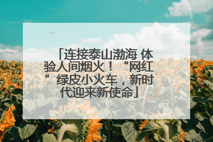 连接泰山渤海 体验人间烟火！“网红”绿皮小火车，新时代迎来新使命