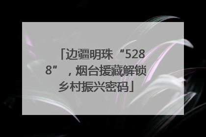 边疆明珠“5288”，烟台援藏解锁乡村振兴密码