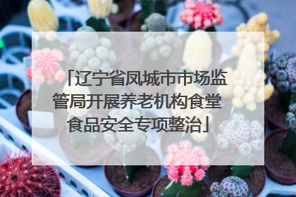 辽宁省凤城市市场监管局开展养老机构食堂食品安全专项整治